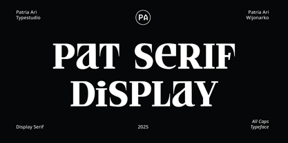 PAT Serif Display Font Poster 1