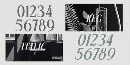 Mesuho Font Poster 7