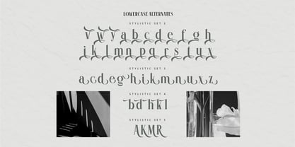 Mesuho Font Poster 14