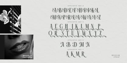 Mesuho Font Poster 12