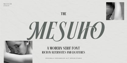 Mesuho Font Poster 1