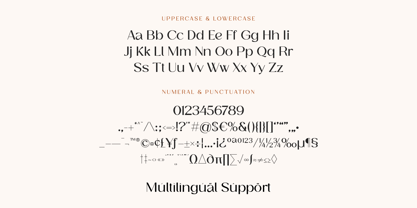 Presque Elegante Font Poster 8