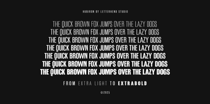 Hubiron Font Poster 5
