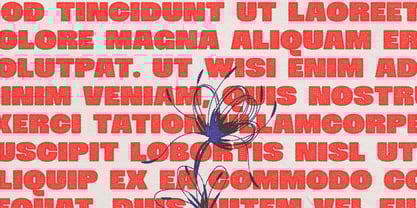 Kander Font Poster 8