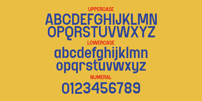 Nelsond Font Poster 4