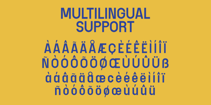 Nelsond Font Poster 6