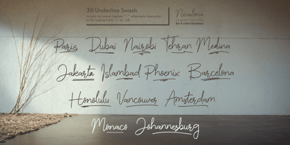 Nevalona Font Poster 5