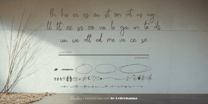 Nevalona Font Poster 8