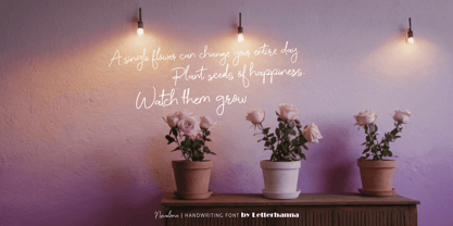 Nevalona Font Poster 11