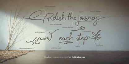 Nevalona Font Poster 2