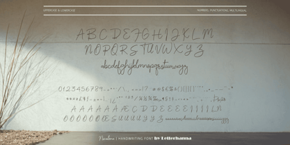 Nevalona Font Poster 3