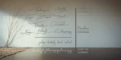 Nevalona Font Poster 4