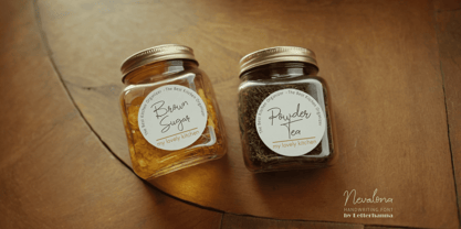 Nevalona Font Poster 12