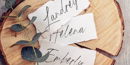 Nola Tenley Font Poster 2