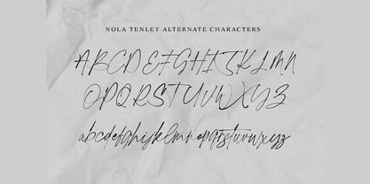 Nola Tenley Font Poster 13