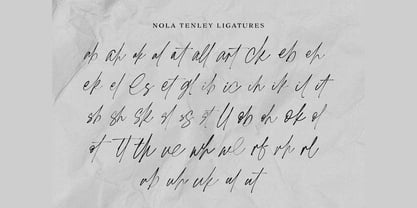 Nola Tenley Font Poster 11