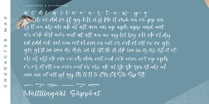 Beans Cozy Font Poster 15