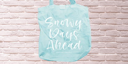 Beans Cozy Font Poster 2