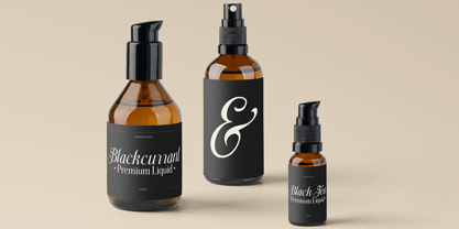 Trendsetter Prestige Font Poster 10