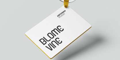 Biggo Font Poster 11