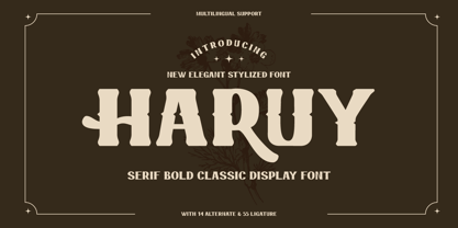 Haruy Font Poster 1