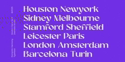 Romantic Harmony Font Poster 10