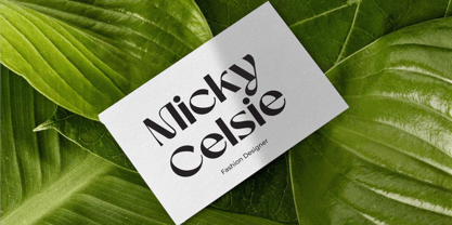 Romantic Harmony Font Poster 5