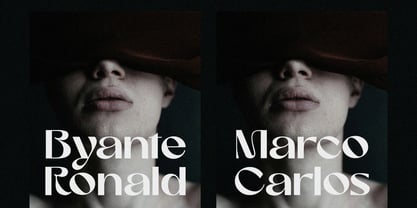 Romantic Harmony Font Poster 7