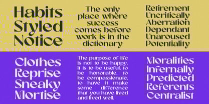 Romantic Harmony Font Poster 8