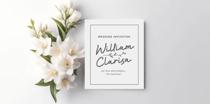 Alysa Beauty Font Poster 13