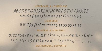 Alysa Beauty Font Poster 14