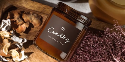 Alysa Beauty Font Poster 7