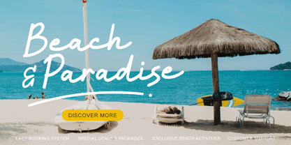 Alysa Beauty Font Poster 4