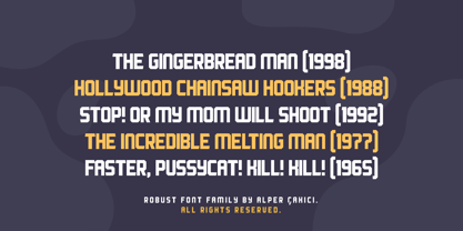 Robust Font Poster 10