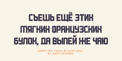 Robust Font Poster 6