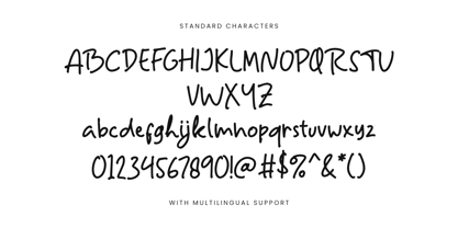 The Happy Duckey Font Poster 8