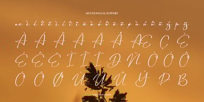 Astelafisa Font Poster 11