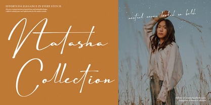 Astelafisa Font Poster 2