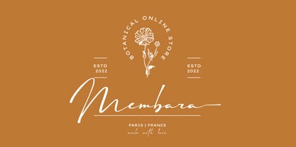 Astelafisa Font Poster 4