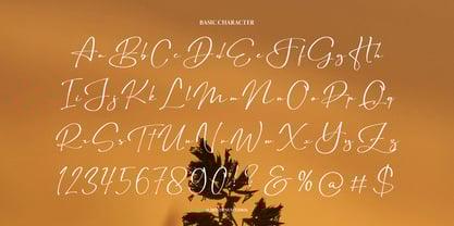 Astelafisa Font Poster 10