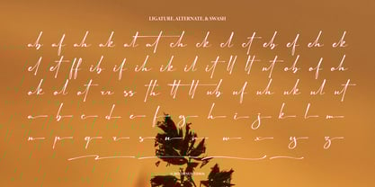 Astelafisa Font Poster 12