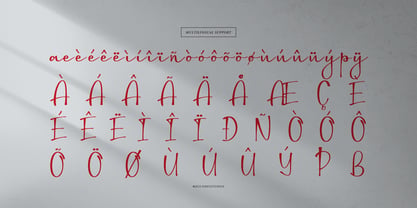 Dirgestan Font Poster 11