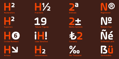 Planer Font Poster 12