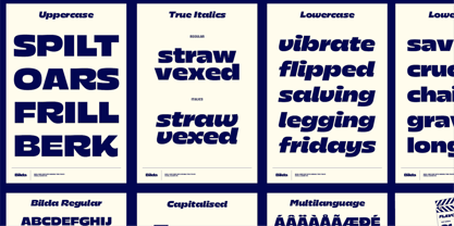 Bilda Font Poster 2