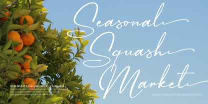 Sagara Amirenja Font Poster 3