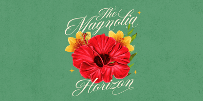 Formale Script Font Poster 5