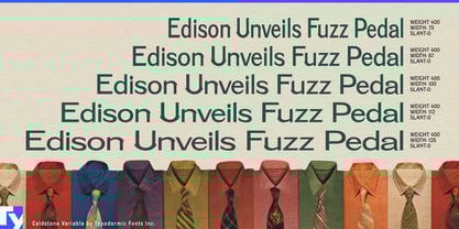 Caldstone Variable Font Poster 3