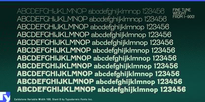 Caldstone Variable Font Poster 4