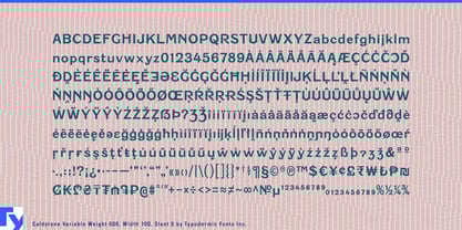 Caldstone Variable Font Poster 7