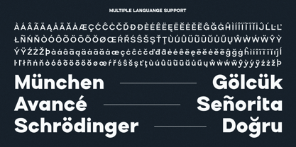 Ognico Font Poster 13